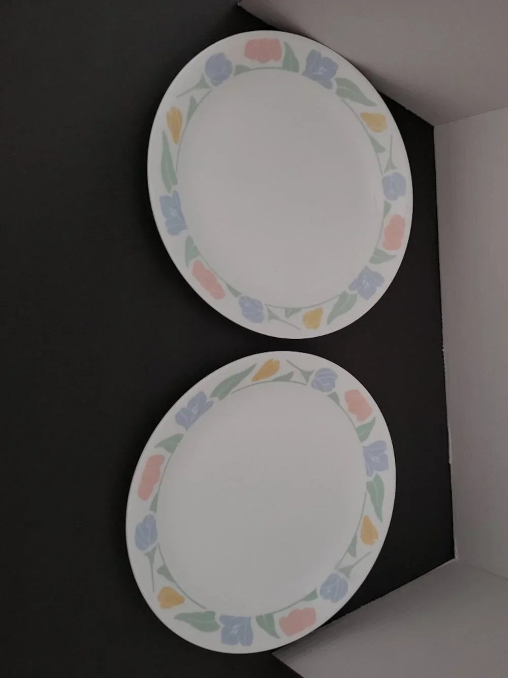 2 Vintage Corelle Friendship 10” Dinner Plates
